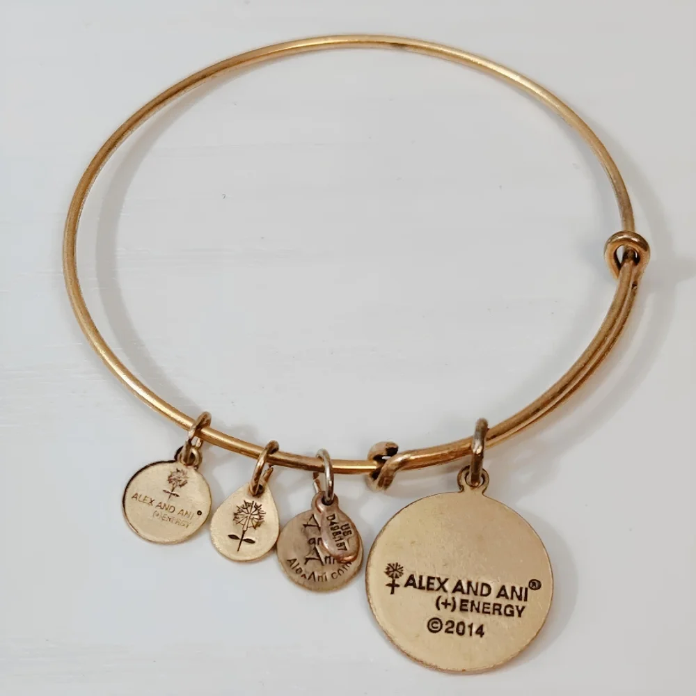 💎 2/$15 Alex and Ani 2014 Gold tone SISTER bracelet